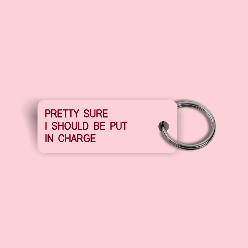 PRETTY SURE I SHOULD BE PUT IN CHARGE Keytag (2024-12-24)