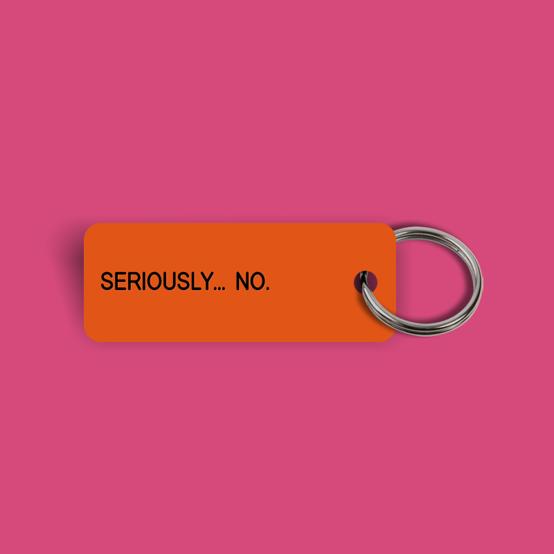 SERIOUSLY... NO. Keytag (2024-04-15)