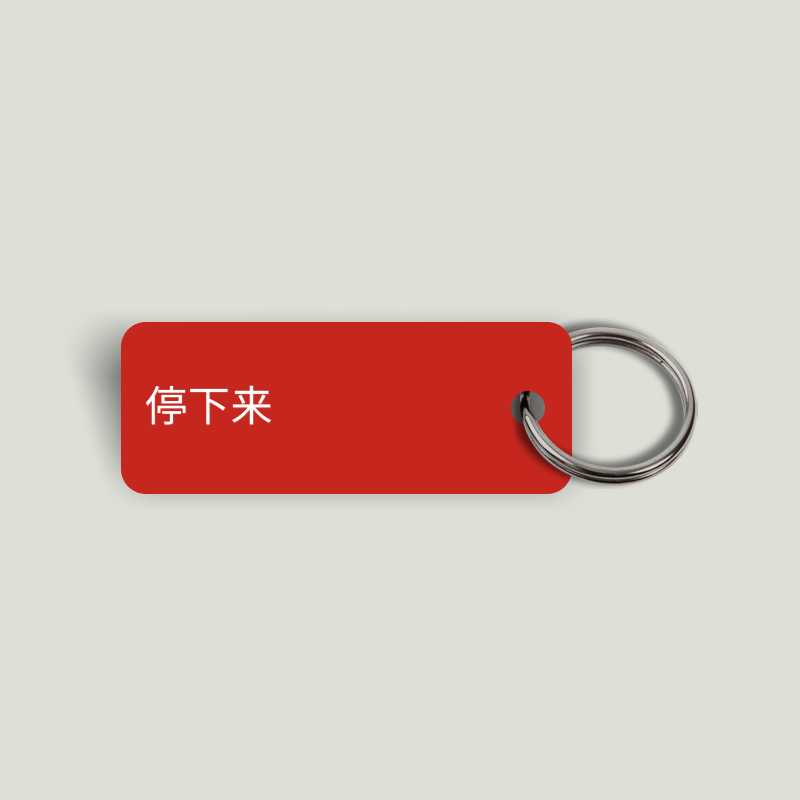 STOP IT Keytag (Japanese, Cyrillic, Chinese, Arabic, Greek, Hebrew, Korean, English)(2023-11-03)