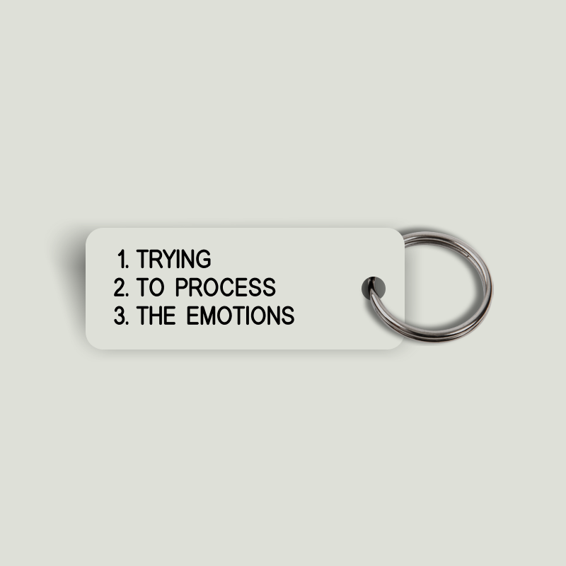 TRYING TO PROCESS THE EMOTIONS Keytag (2023-10-10)
