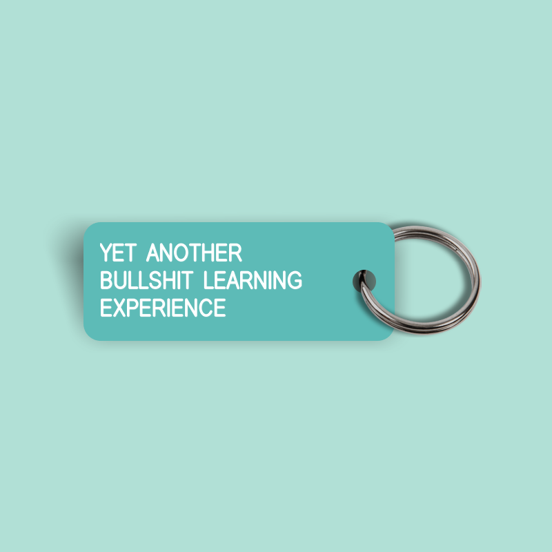 YET ANOTHER BULLSHIT LEARNING EXPERIENCE Keytag (2024-03-19)