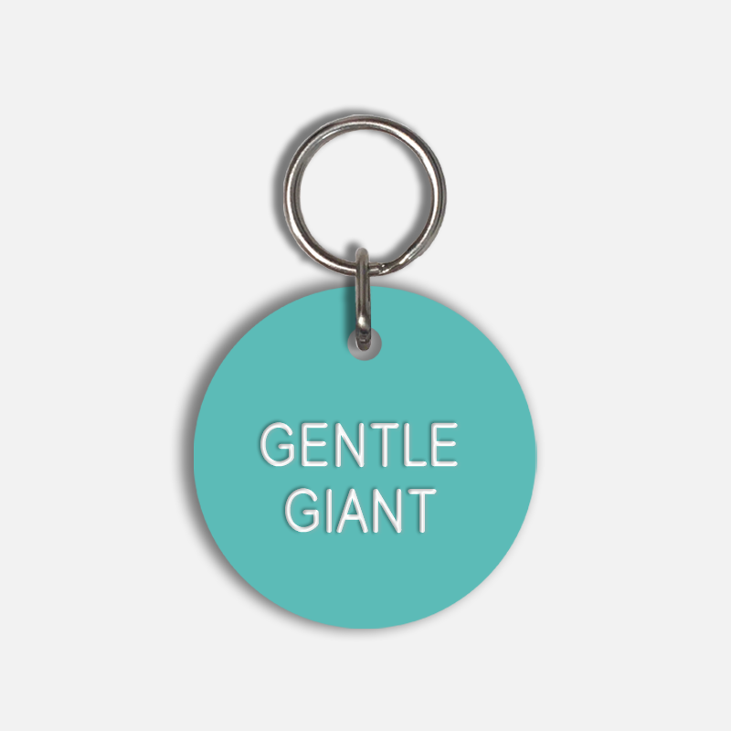 GENTLE GIANT Large Pet Tag