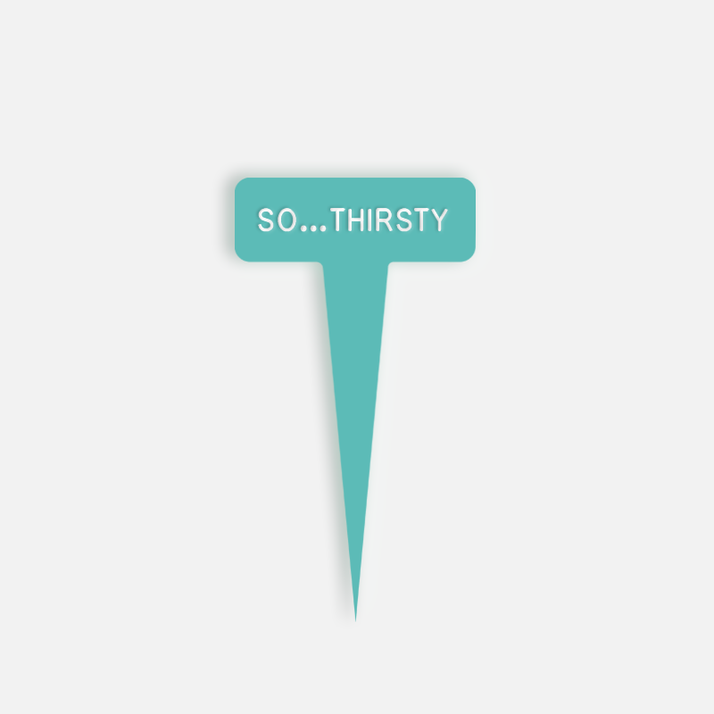 SO…THIRSTY Small Caption