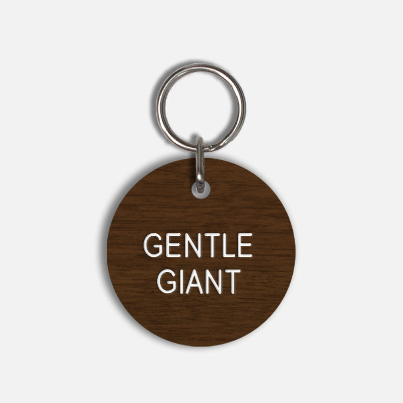 GENTLE GIANT Large Pet Tag