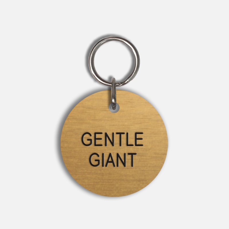 GENTLE GIANT Large Pet Tag