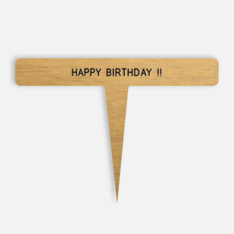 HAPPY BIRTHDAY !! Caption