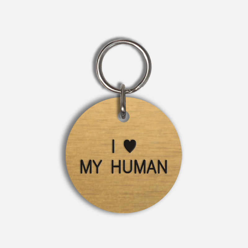 I <3 MY HUMAN Large Pet Tag
