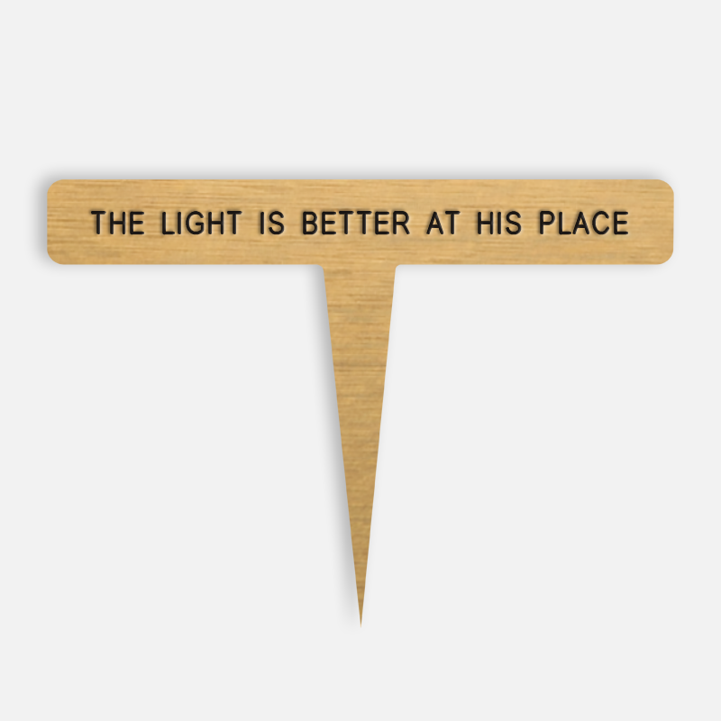 THE LIGHT IS BETTER AT HIS PLACE Caption