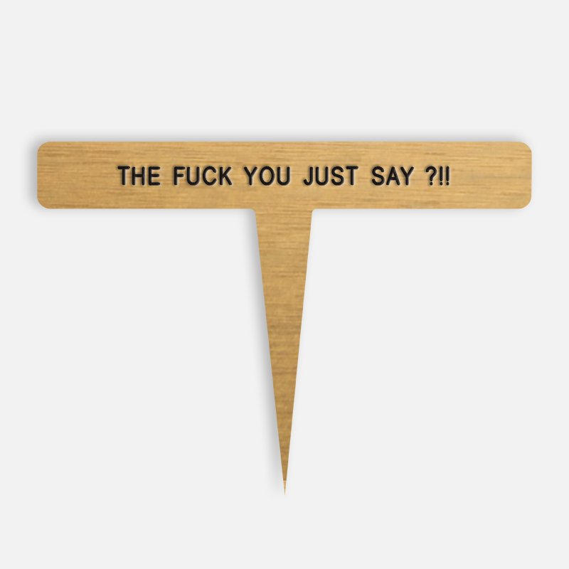 THE FUCK YOU JUST SAY ?!! Caption