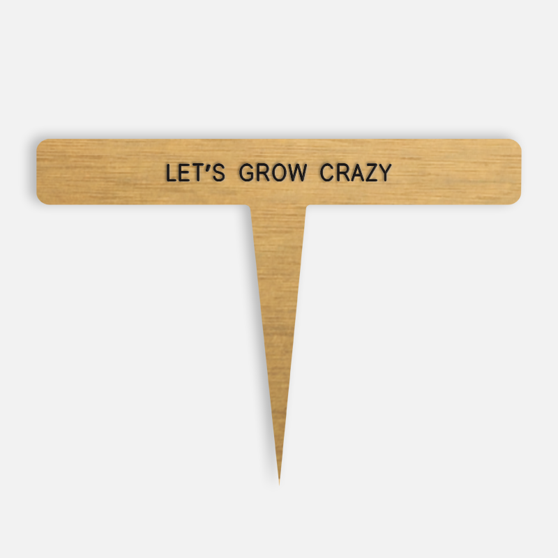 LET’S GROW CRAZY Caption