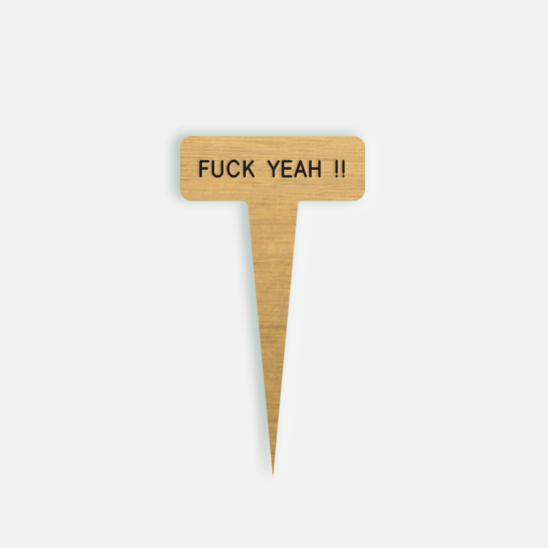 FUCK YEAH !! Small Caption