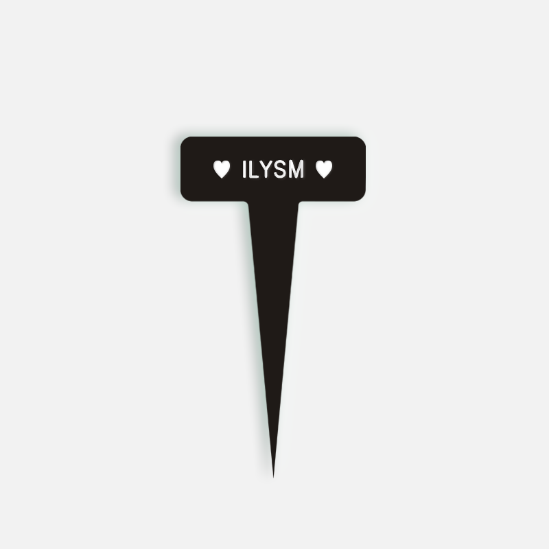 ILYSM Small Caption