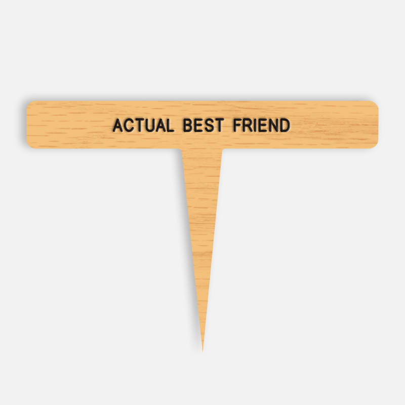 ACTUAL BEST FRIEND Caption