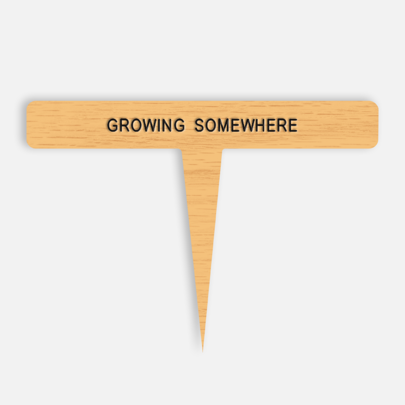 GROWING SOMEWHERE Caption