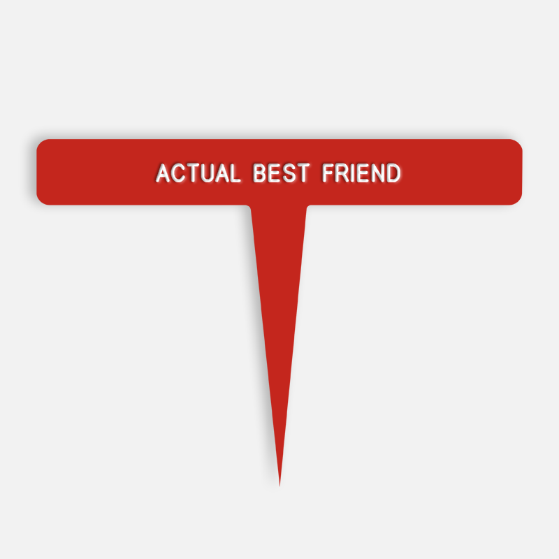 ACTUAL BEST FRIEND Caption