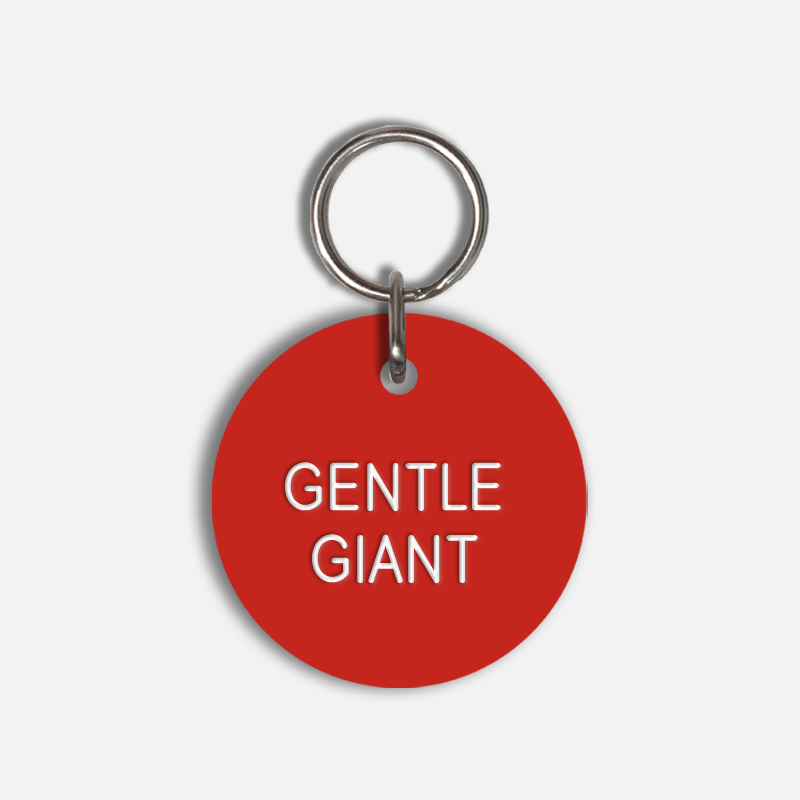 GENTLE GIANT Large Pet Tag