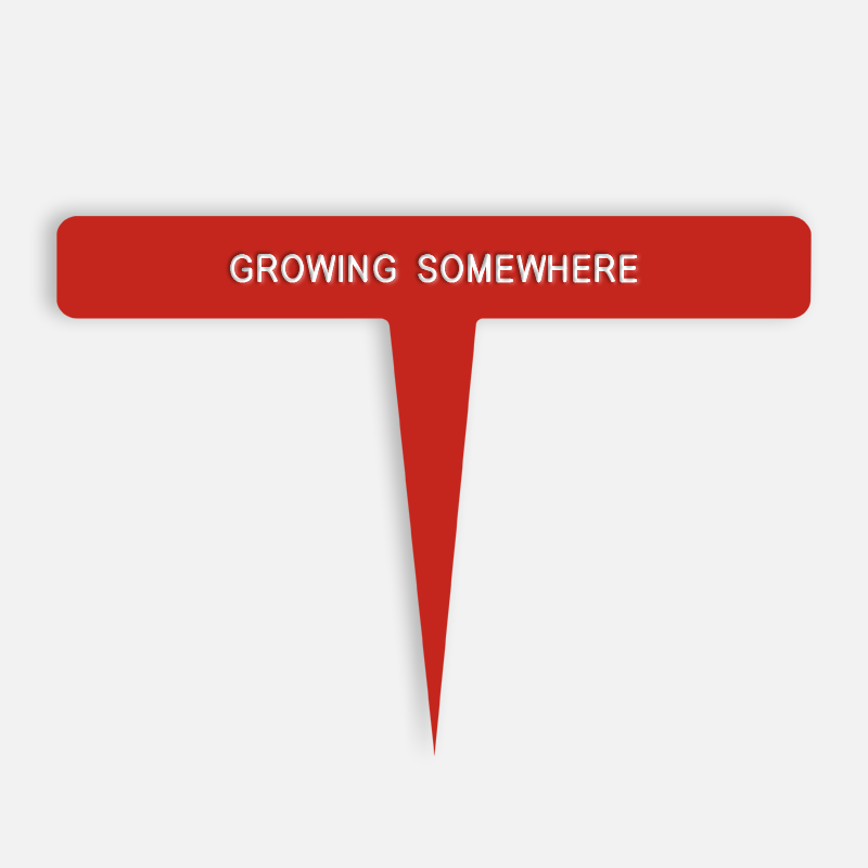 GROWING SOMEWHERE Caption