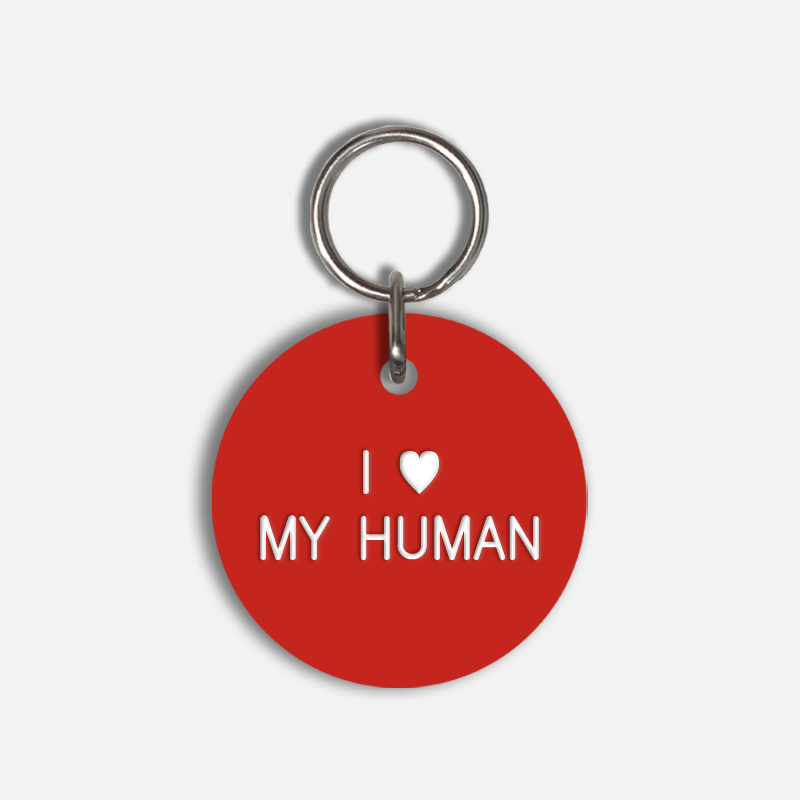 I <3 MY HUMAN Large Pet Tag