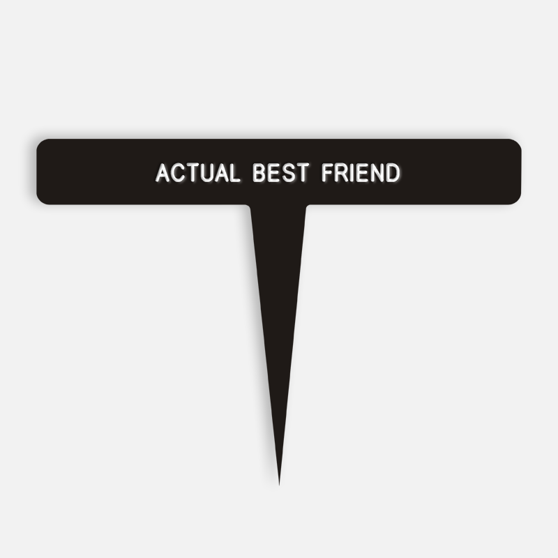 ACTUAL BEST FRIEND Caption