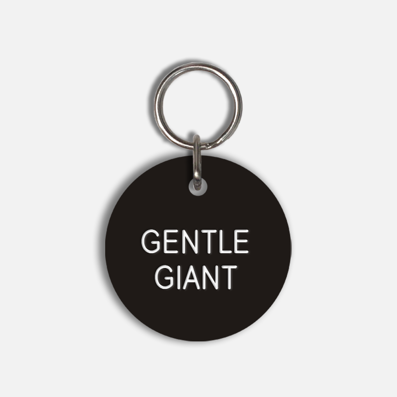 GENTLE GIANT Large Pet Tag