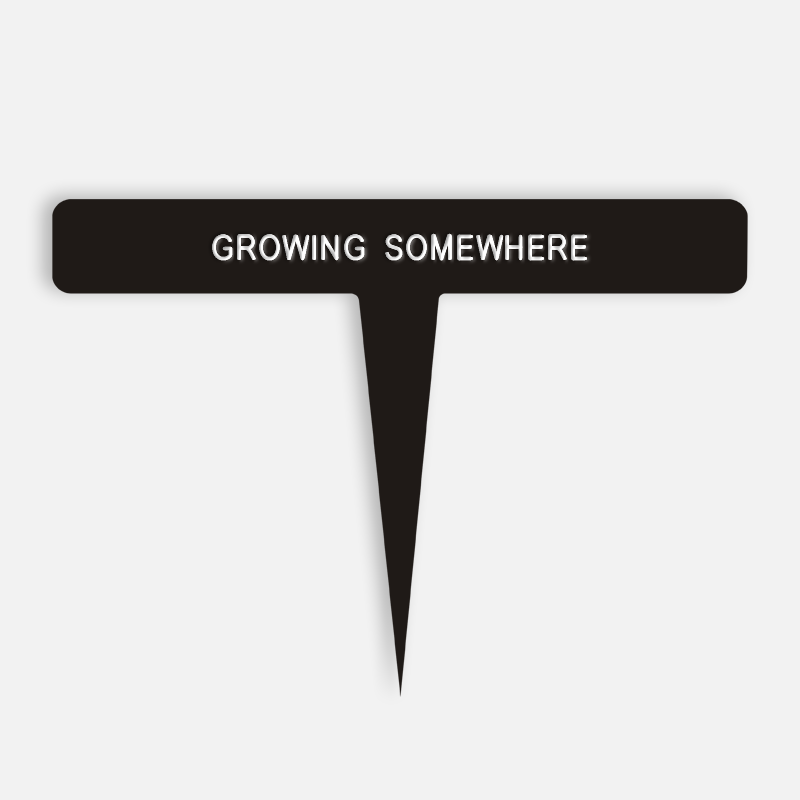 GROWING SOMEWHERE Caption