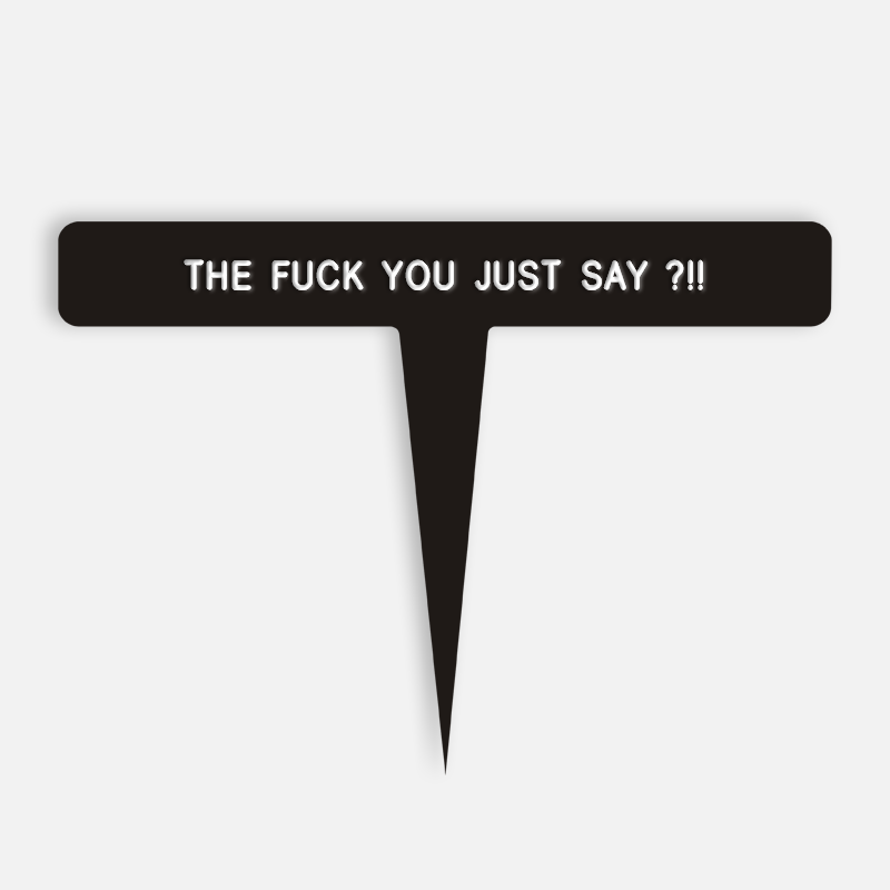 THE FUCK YOU JUST SAY ?!! Caption