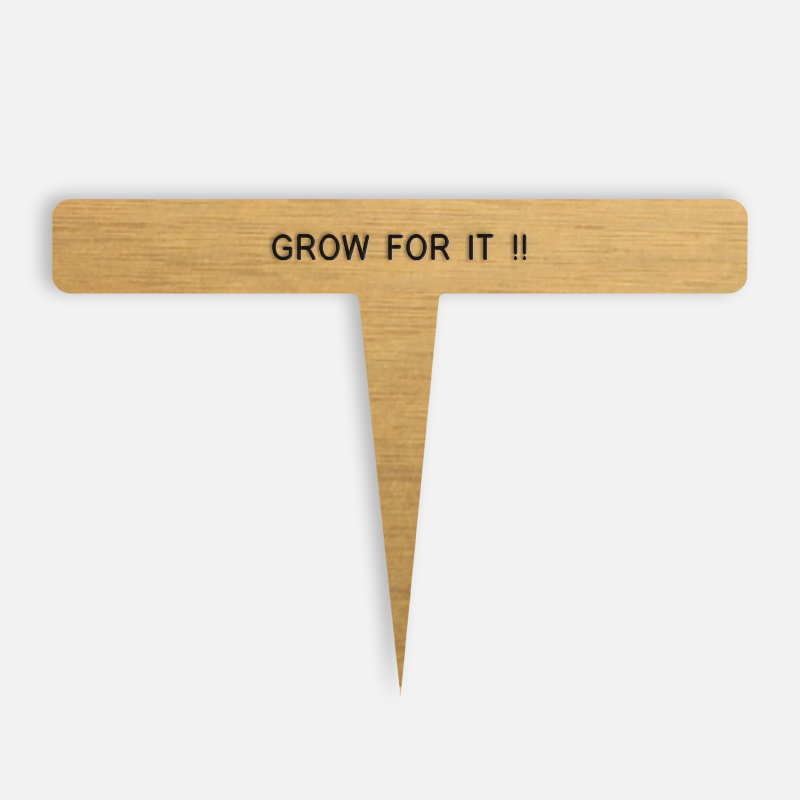 GROW FOR IT !! Caption