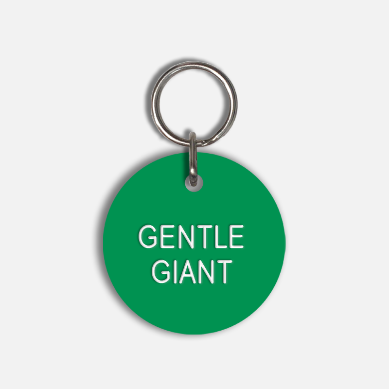 GENTLE GIANT Large Pet Tag