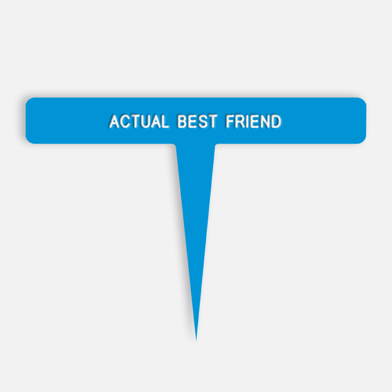 ACTUAL BEST FRIEND Caption