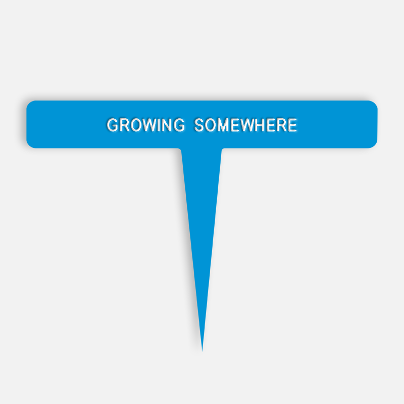 GROWING SOMEWHERE Caption