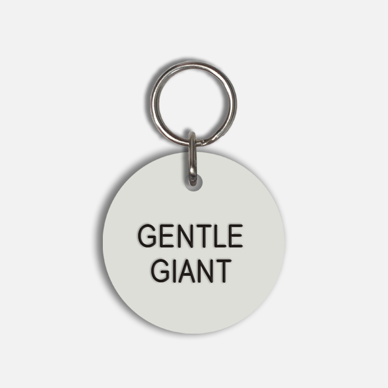 GENTLE GIANT Large Pet Tag