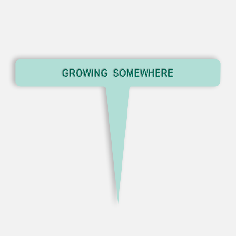 GROWING SOMEWHERE Caption