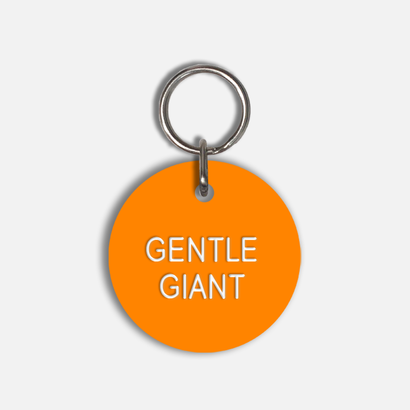 GENTLE GIANT Large Pet Tag