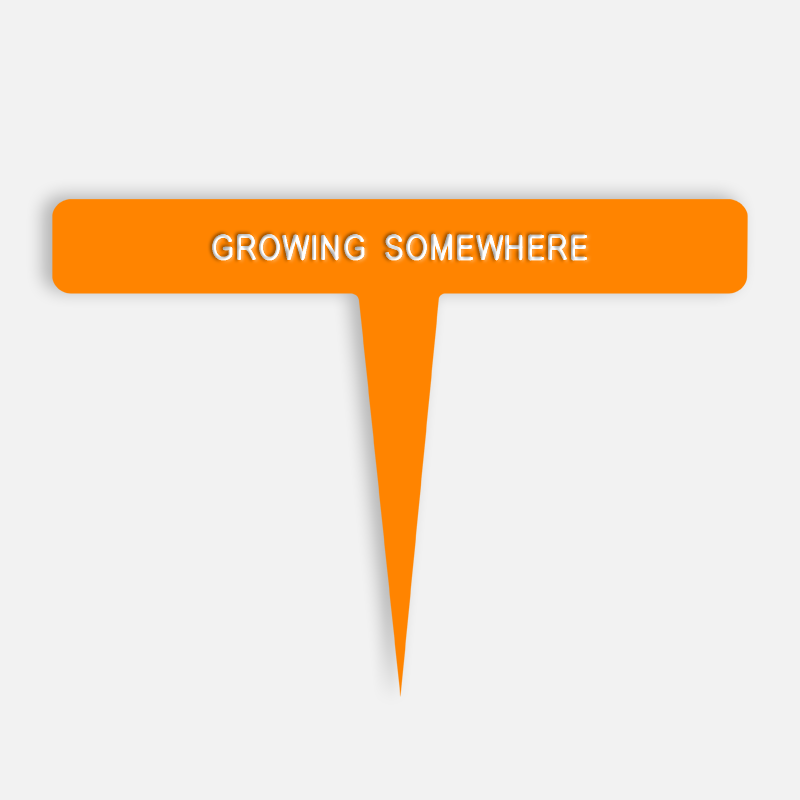 GROWING SOMEWHERE Caption