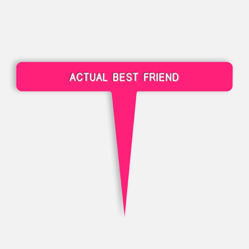 ACTUAL BEST FRIEND Caption
