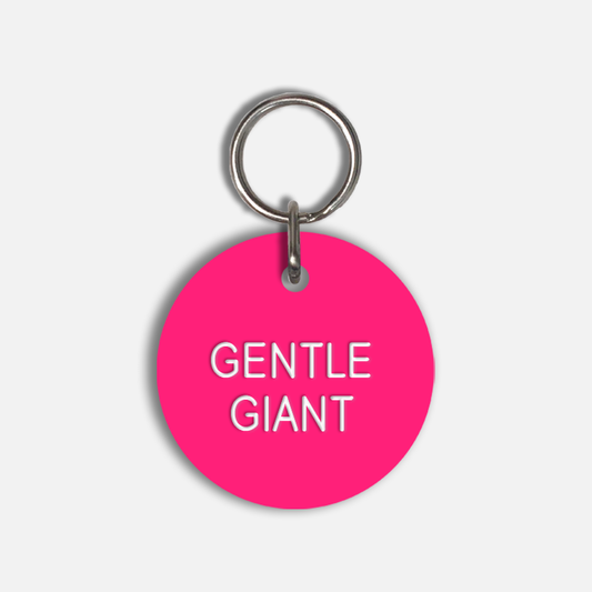 GENTLE GIANT Large Pet Tag