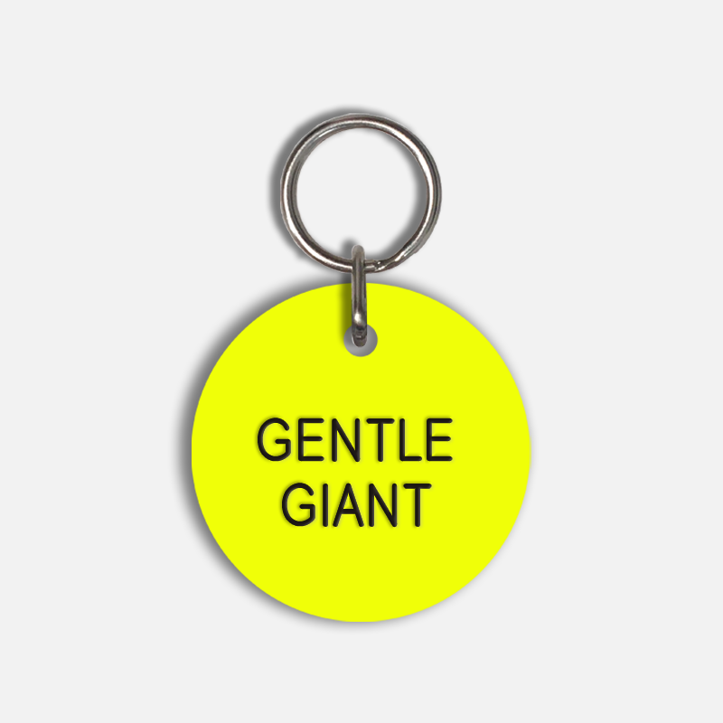 GENTLE GIANT Large Pet Tag