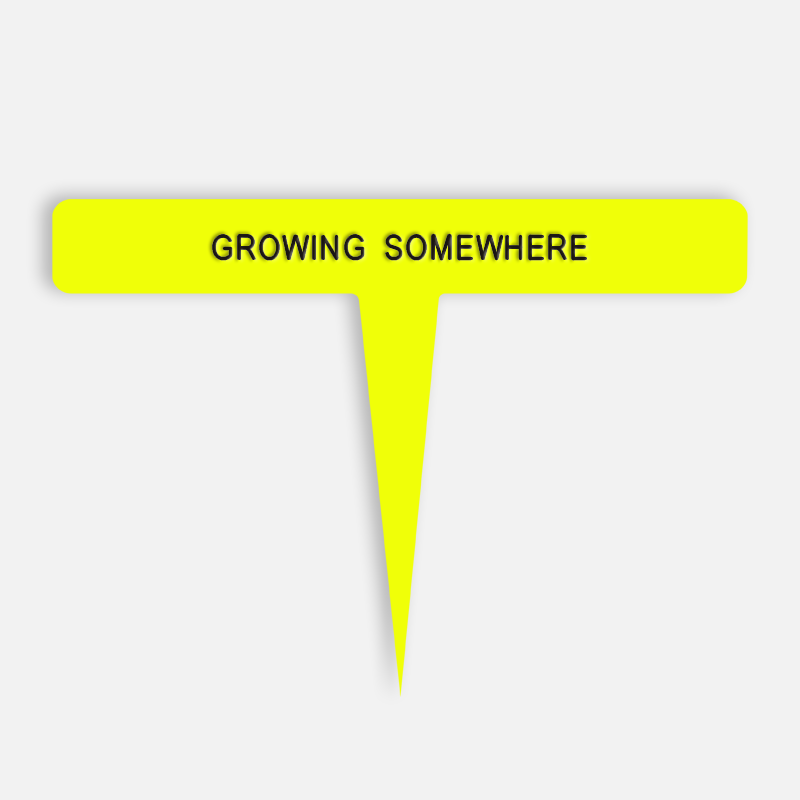 GROWING SOMEWHERE Caption