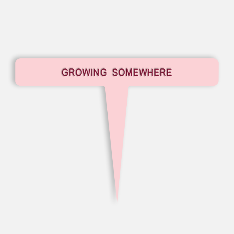 GROWING SOMEWHERE Caption