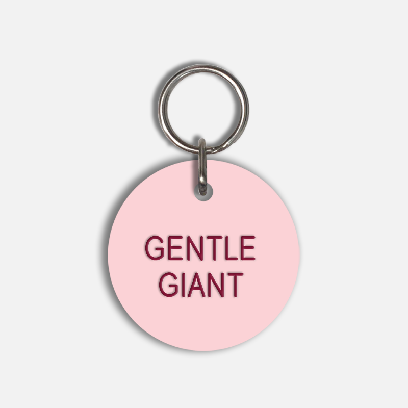 GENTLE GIANT Large Pet Tag