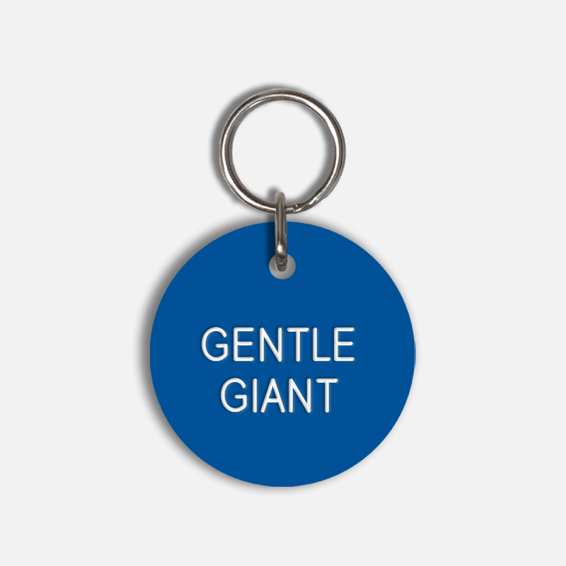 GENTLE GIANT Large Pet Tag