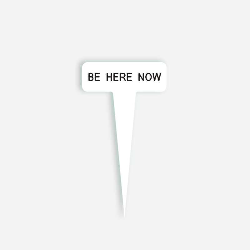 BE HERE NOW Small Caption