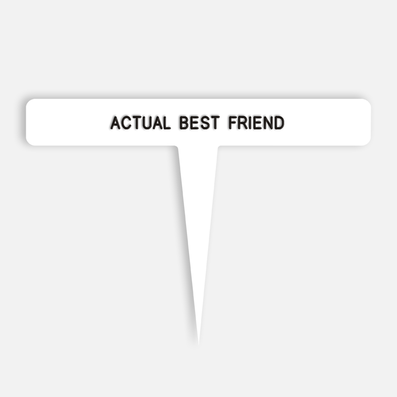 ACTUAL BEST FRIEND Caption