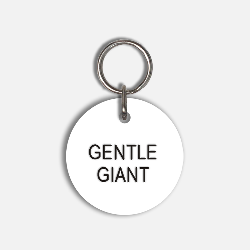 GENTLE GIANT Large Pet Tag