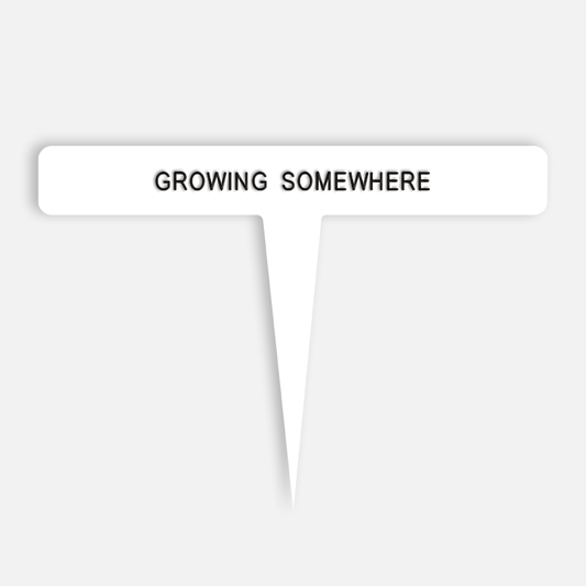 GROWING SOMEWHERE Caption