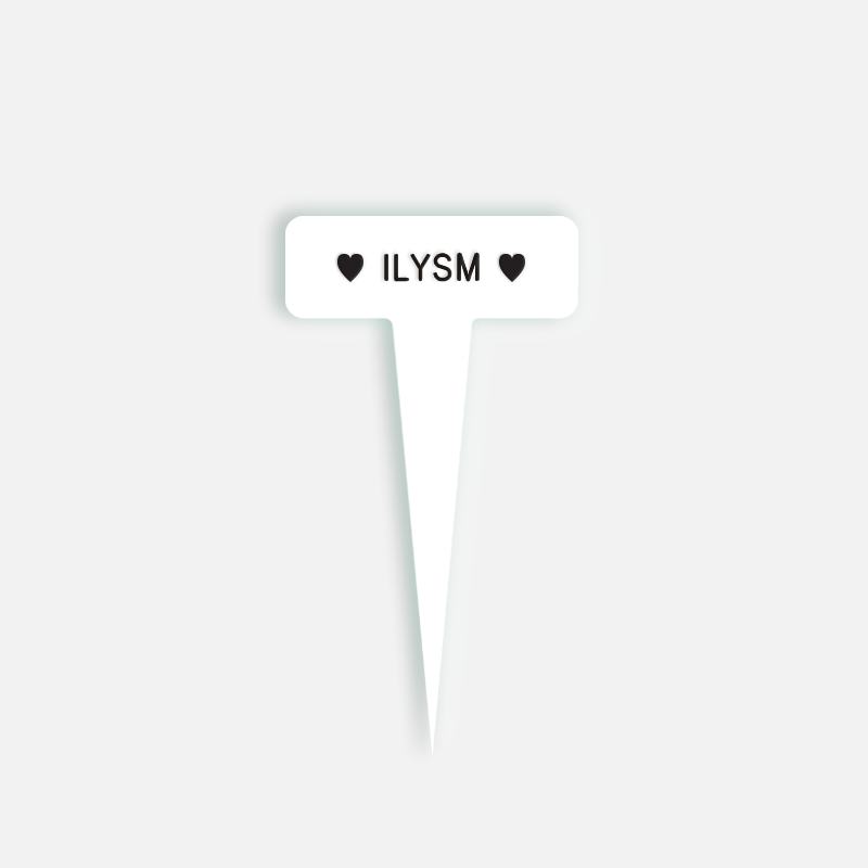 ILYSM Small Caption