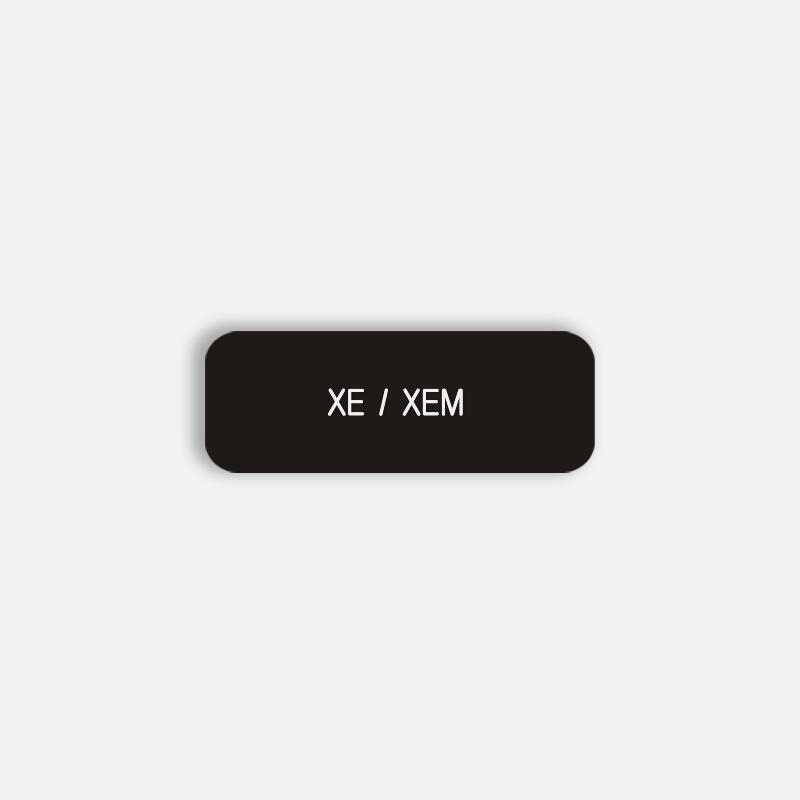 XE / XEM Pronoun Pin