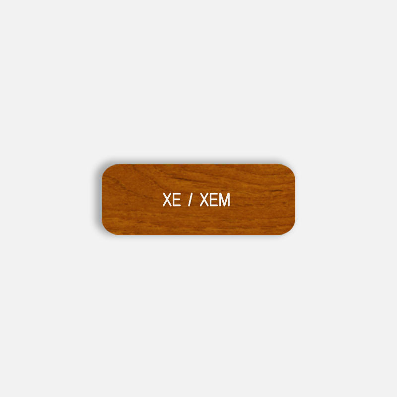 XE / XEM Pronoun Pin