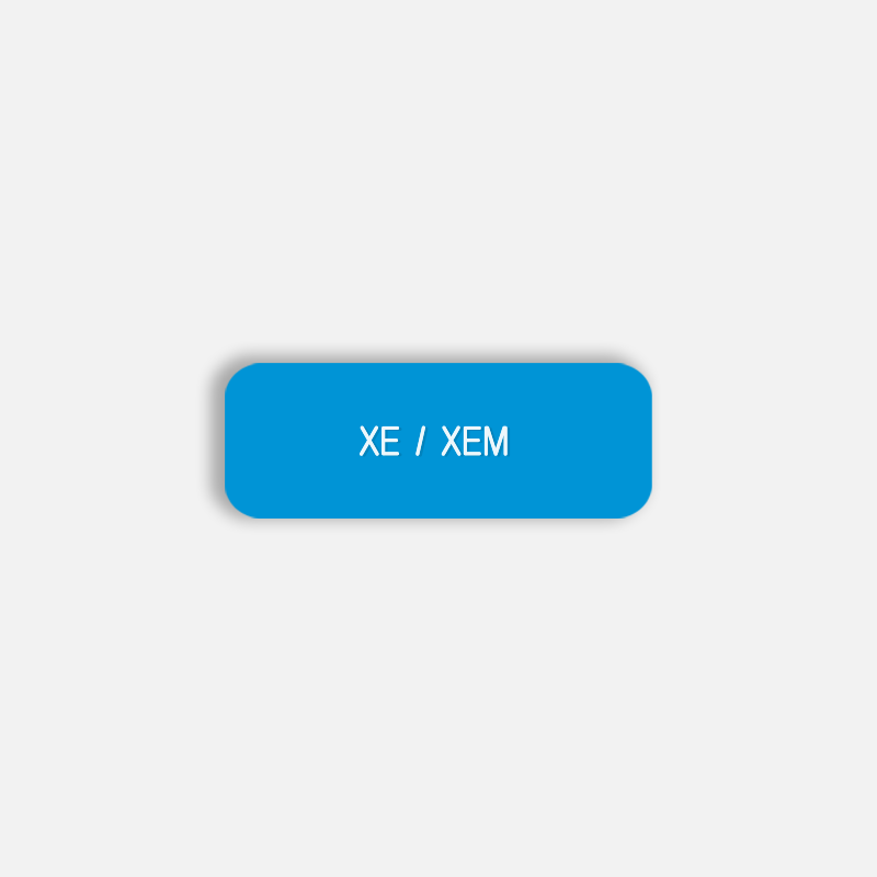 XE / XEM Pronoun Pin