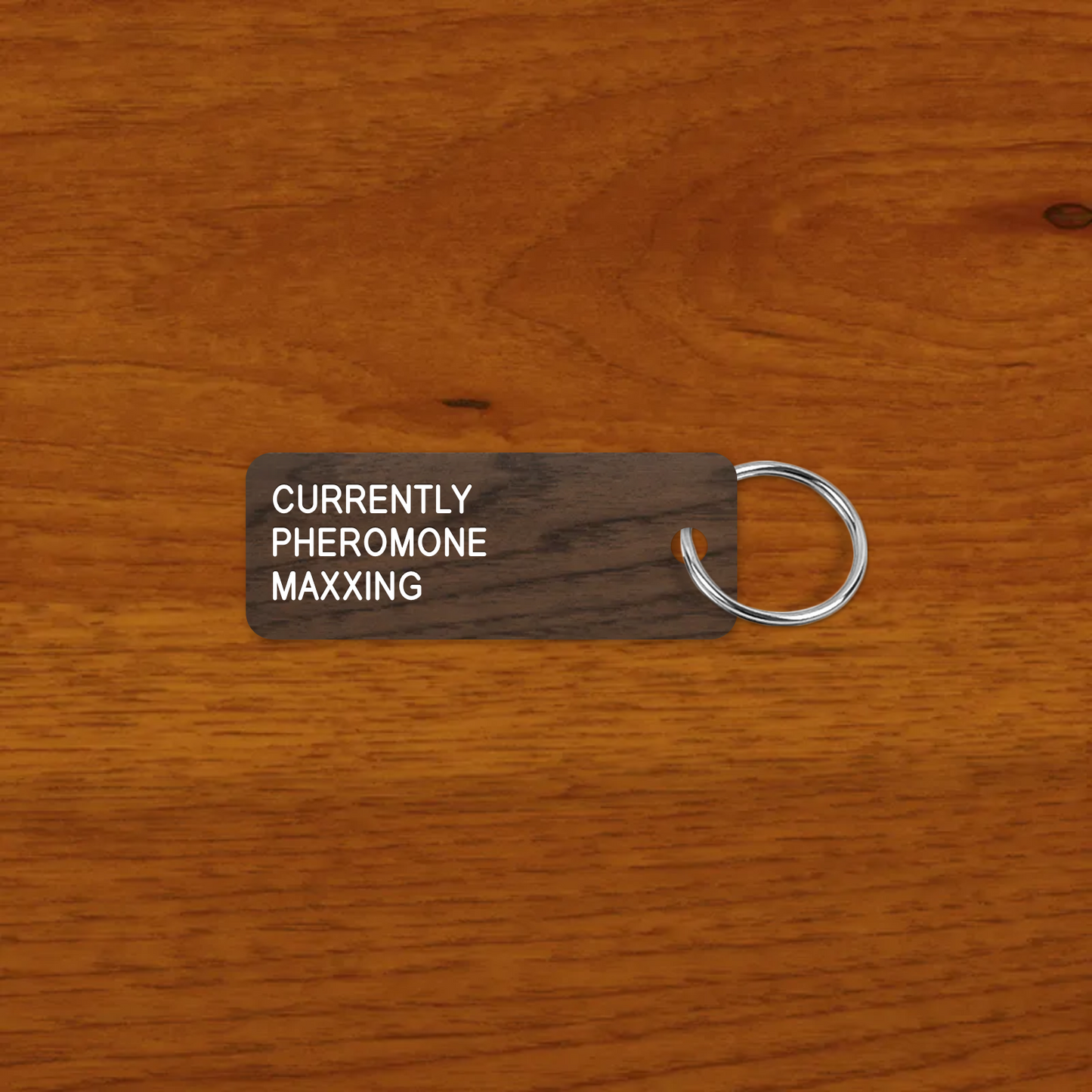 CURRENTLY 
PHEROMONE
MAXXING keytag mockup